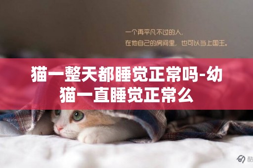 貓一整天都睡覺正常嗎-幼貓一直睡覺正常么