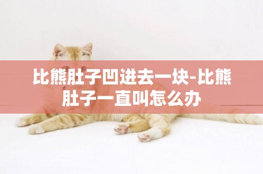 比熊肚子凹進去一塊-比熊肚子一直叫怎么辦