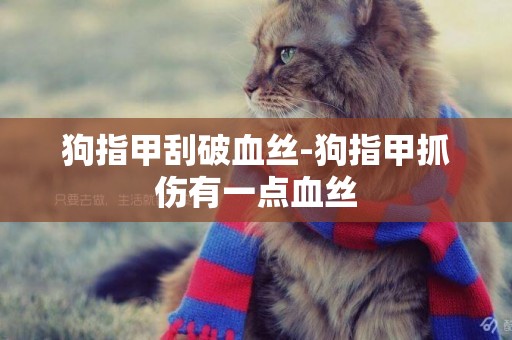 狗指甲刮破血絲-狗指甲抓傷有一點血絲