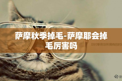 薩摩秋季掉毛-薩摩耶會掉毛厲害嗎