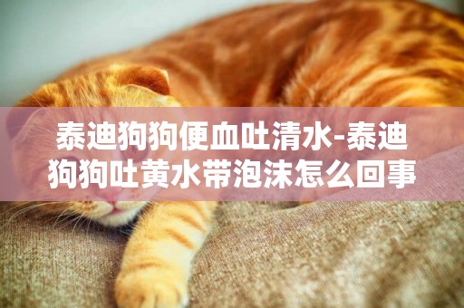 泰迪狗狗便血吐清水-泰迪狗狗吐黃水帶泡沫怎么回事