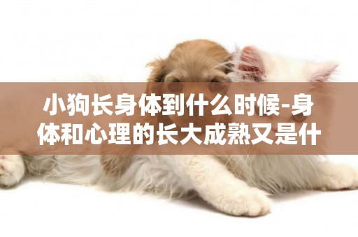 小狗長身體到什么時候-身體和心理的長大成熟又是什么時候
