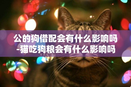 公的狗借配會有什么影響嗎-貓吃狗糧會有什么影響嗎