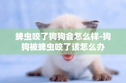 蜱蟲咬了狗狗會怎么樣-狗狗被蜱蟲咬了該怎么辦