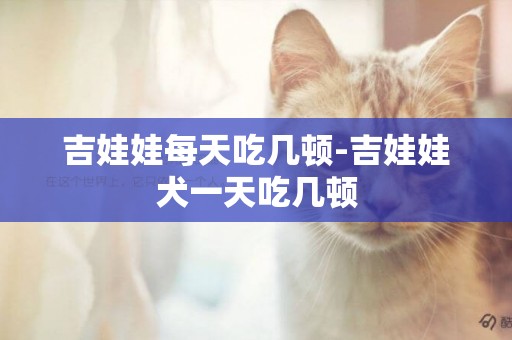 吉娃娃每天吃幾頓-吉娃娃犬一天吃幾頓