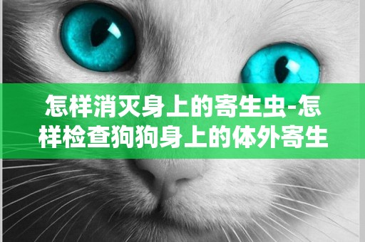 怎樣消滅身上的寄生蟲-怎樣檢查狗狗身上的體外寄生蟲