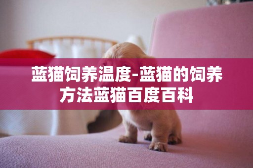 藍貓飼養溫度-藍貓的飼養方法藍貓百度百科