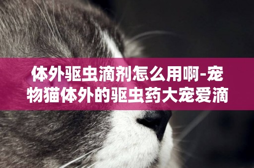 體外驅蟲滴劑怎么用啊-寵物貓體外的驅蟲藥大寵愛滴劑使用方法