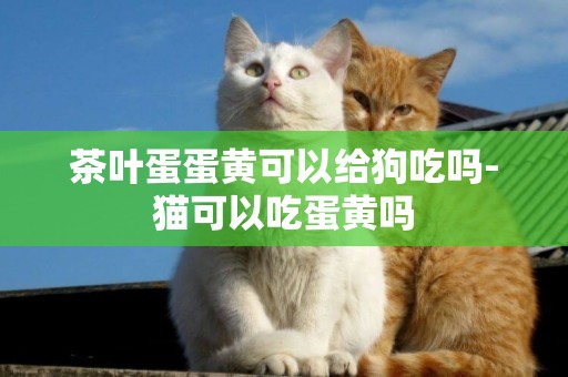 茶葉蛋蛋黃可以給狗吃嗎-貓可以吃蛋黃嗎