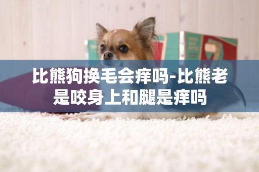 比熊狗換毛會癢嗎-比熊老是咬身上和腿是癢嗎