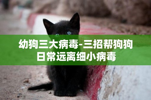 幼狗三大病毒-三招幫狗狗日常遠離細小病毒
