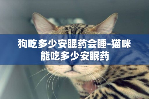 狗吃多少安眠藥會睡-貓咪能吃多少安眠藥