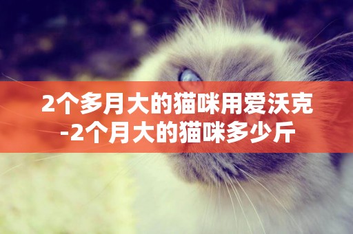 2個多月大的貓咪用愛沃克-2個月大的貓咪多少斤