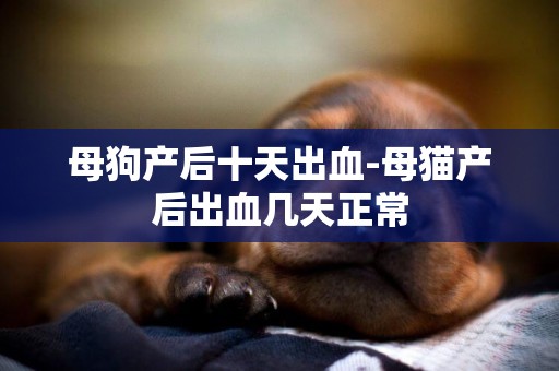 母狗產后十天出血-母貓產后出血幾天正常