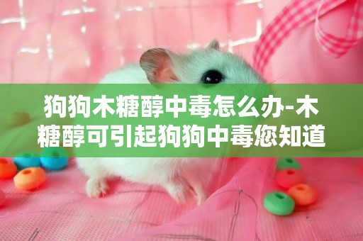 狗狗木糖醇中毒怎么辦-木糖醇可引起狗狗中毒您知道嗎