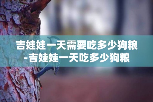 吉娃娃一天需要吃多少狗糧-吉娃娃一天吃多少狗糧