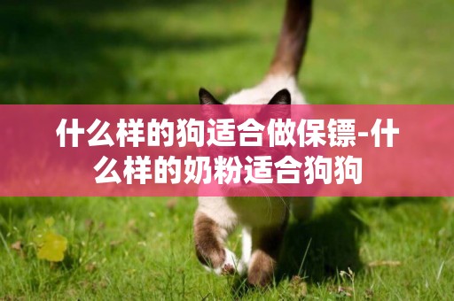 什么樣的狗適合做保鏢-什么樣的奶粉適合狗狗