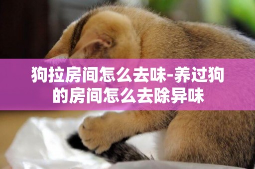 狗拉房間怎么去味-養過狗的房間怎么去除異味
