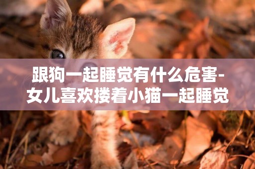 跟狗一起睡覺有什么危害-女兒喜歡摟著小貓一起睡覺有什么危害