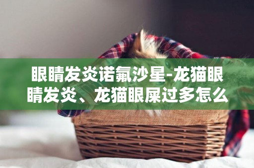 眼睛發炎諾氟沙星-龍貓眼睛發炎、龍貓眼屎過多怎么辦