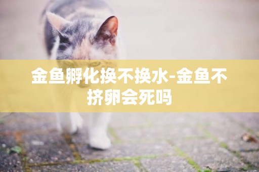 金魚孵化換不換水-金魚不擠卵會死嗎