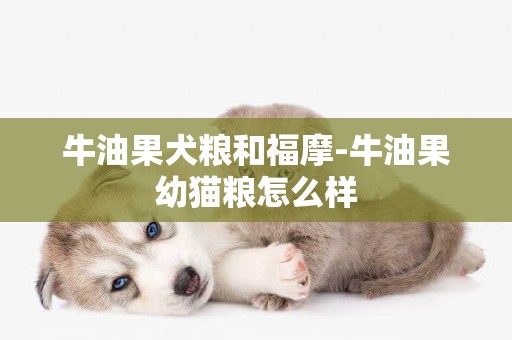 牛油果犬糧和福摩-牛油果幼貓糧怎么樣