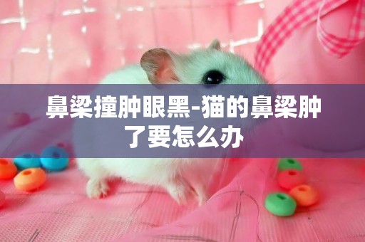 鼻梁撞腫眼黑-貓的鼻梁腫了要怎么辦