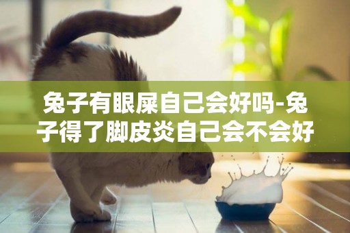 兔子有眼屎自己會好嗎-兔子得了腳皮炎自己會不會好