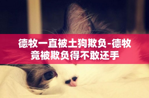 德牧一直被土狗欺負-德牧竟被欺負得不敢還手