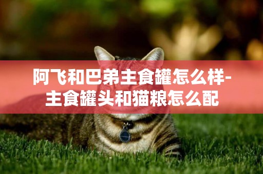 阿飛和巴弟主食罐怎么樣-主食罐頭和貓糧怎么配