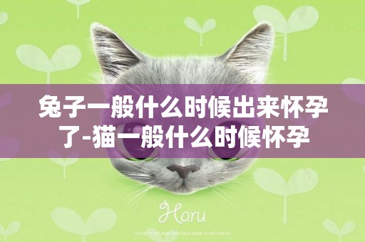 兔子一般什么時候出來懷孕了-貓一般什么時候懷孕