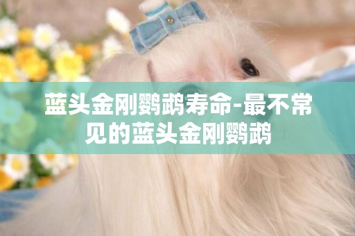 藍頭金剛鸚鵡壽命-最不常見的藍頭金剛鸚鵡