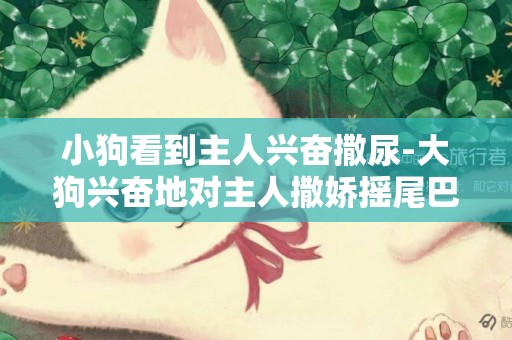 小狗看到主人興奮撒尿-大狗興奮地對主人撒嬌搖尾巴