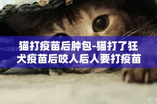 貓打疫苗后腫包-貓打了狂犬疫苗后咬人后人要打疫苗嗎