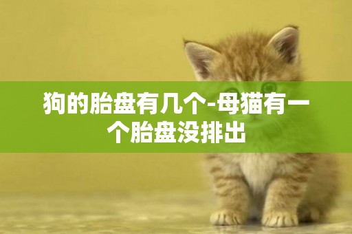 狗的胎盤有幾個-母貓有一個胎盤沒排出