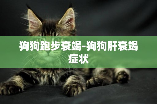 狗狗跑步衰竭-狗狗肝衰竭癥狀