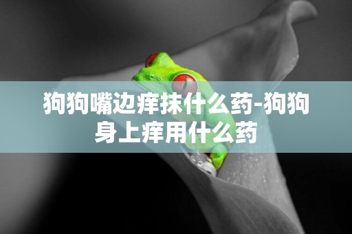 狗狗嘴邊癢抹什么藥-狗狗身上癢用什么藥