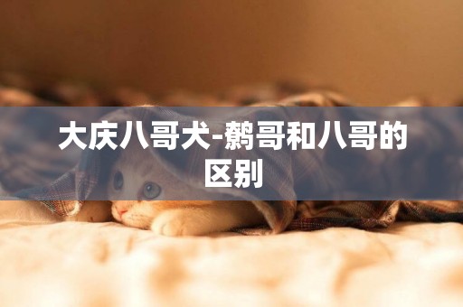 大慶八哥犬-鷯哥和八哥的區別