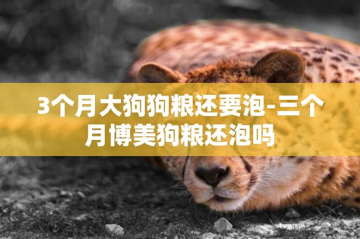 3個月大狗狗糧還要泡-三個月博美狗糧還泡嗎