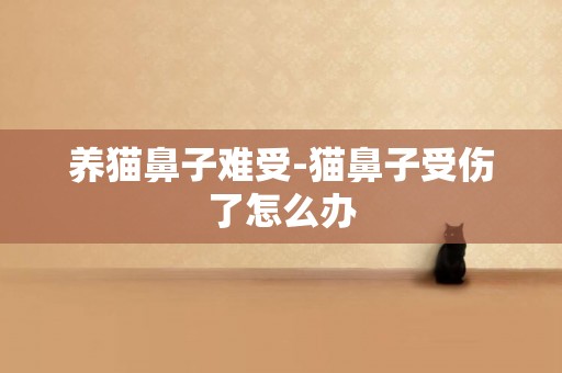養貓鼻子難受-貓鼻子受傷了怎么辦