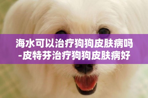 海水可以治療狗狗皮膚病嗎-皮特芬治療狗狗皮膚病好使嗎