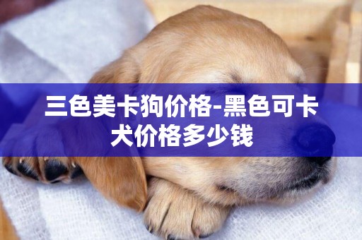 三色美卡狗價格-黑色可卡犬價格多少錢