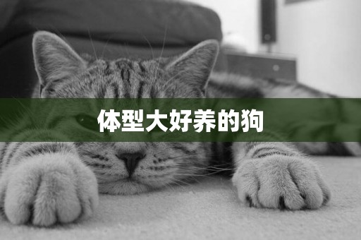 體型大好養的狗