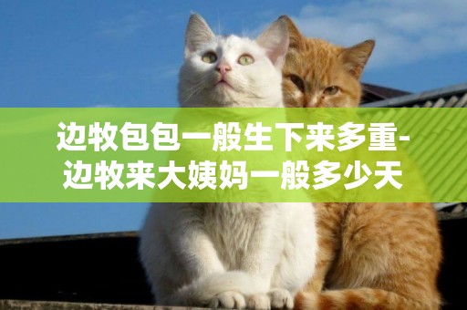 邊牧包包一般生下來多重-邊牧來大姨媽一般多少天