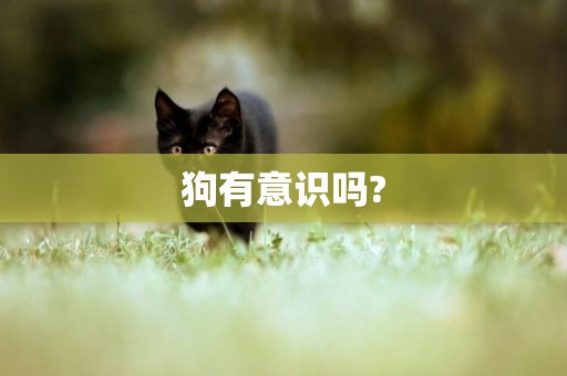 狗有意識嗎?
