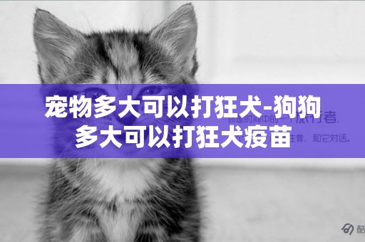 寵物多大可以打狂犬-狗狗多大可以打狂犬疫苗