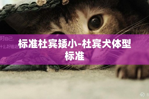 標準杜賓矮小-杜賓犬體型標準