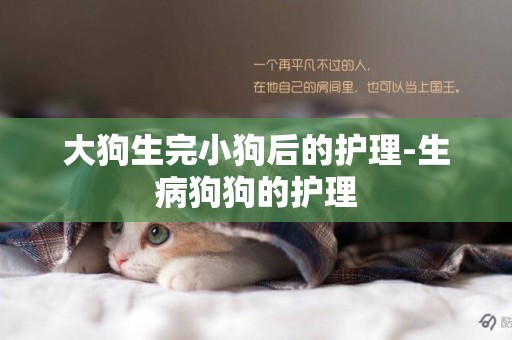 大狗生完小狗后的護理-生病狗狗的護理