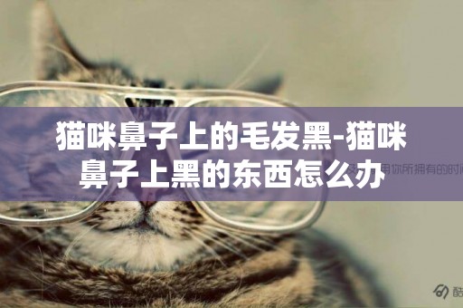 貓咪鼻子上的毛發黑-貓咪鼻子上黑的東西怎么辦