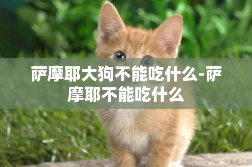 薩摩耶大狗不能吃什么-薩摩耶不能吃什么